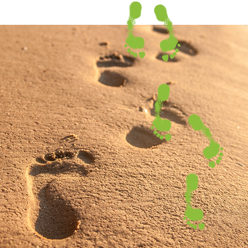 Footprints in the sand on a beach close to the sea Footprints in the sand on a beach close to the sea